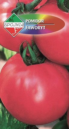 Spójnia Pomidor Gruntowy Faworyt 0.5g