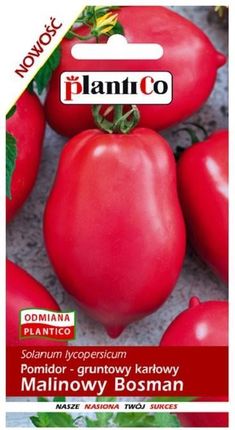 Plantico Pomidor Gruntowy Karłowy Malinowy Bosman 0,5g