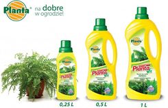 Zdjęcie Planta Płynny do Paproci 1l - Śrem