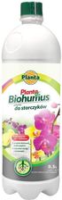 Zdjęcie Planta Biohumus Do Storczyków 0,5l - Żnin