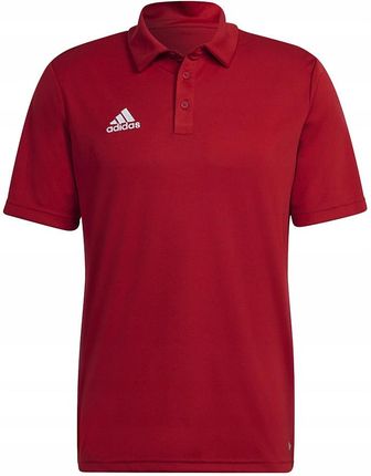 Koszulka Polo adidas Męska T-shirt Entrada22 r.XXL