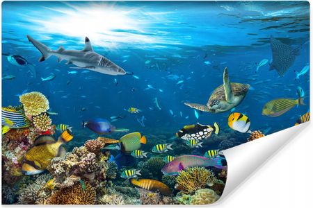 Muralo Fototapeta Młodzieżowa Rafa Koralowa Ocean 360X240