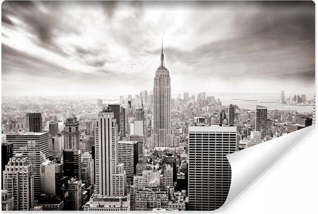 Muralo Fototapeta Panorama Nowy York Widok 3D Architektura 360X240