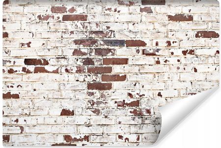Muralo Fototapeta Stara Cegła Imitacja Mur Kamień Efekt 3D 368X254