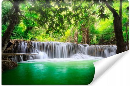 Muralo Fototapeta Piękny Wodospad Natura Las Drzewa Pejzaż 3D 300X210