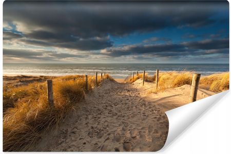 Muralo Fototapeta Piaszczysta Plaża Morze Północne Krajobraz 3D 360X240
