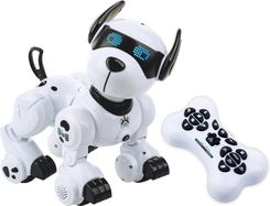 Zdjęcie Dumel Robopies Rc - Muszyna