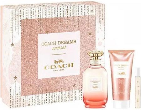 Coach store set