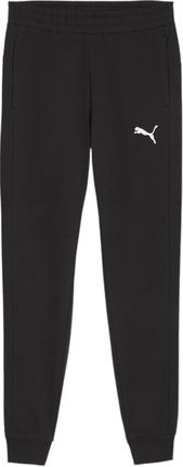 Spodnie Puma teamGOAL Casuals Joggers 658598-03 Rozmiar S