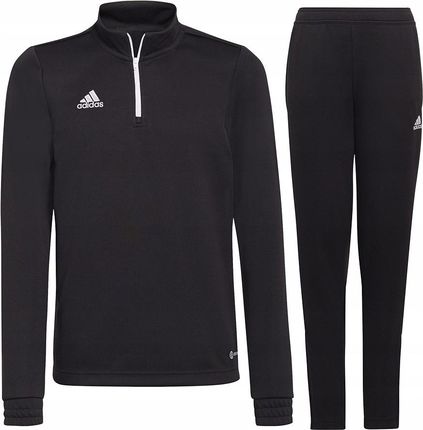 adidas entrada komplet