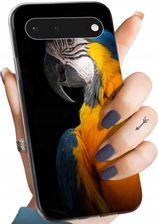 Hello Case Etui Do Google Pixel 6 Papuga Papużka Tukan Obudowa Pokrowiec