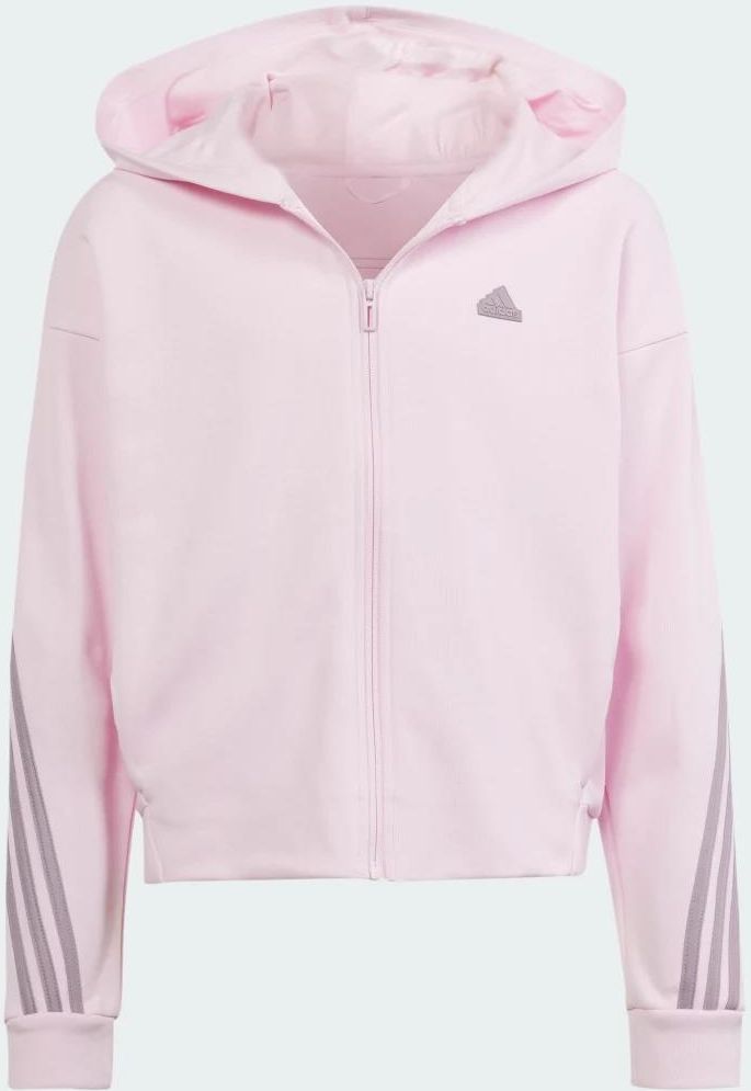 Adidas Future Icons 3-Stripes Full-Zip Hoodie IS3407 - Ceny i opinie ...