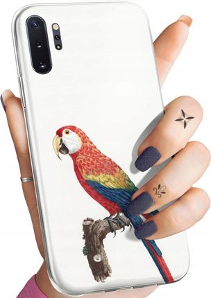 Hello Case Etui Do Samsung Galaxy Note 10 Plus Ptaki Ptak Papuga Koliber Obudowa