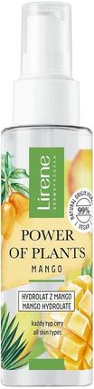 Lirene Power Of Plants Hydrolat Z Mango 100Ml