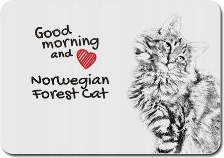 Kot norweski leśny (PPMK021)