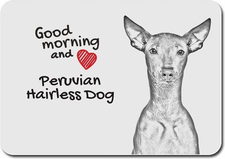 Artdogshop Nagi pies peruwiański (PPMP180)