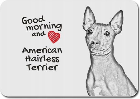 American Hairless Terrier (PPMP149)