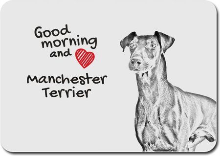 Manchester terrier (PPMP130)