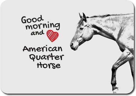 Koń American Quarter Horse (PPMKN002)