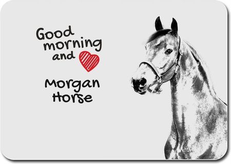 Koń Morgan (PPMKN017)