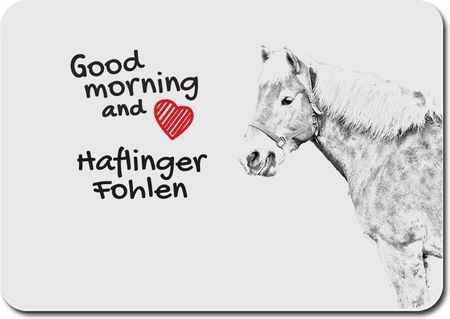 Koń Haflinger (PPMKN035)