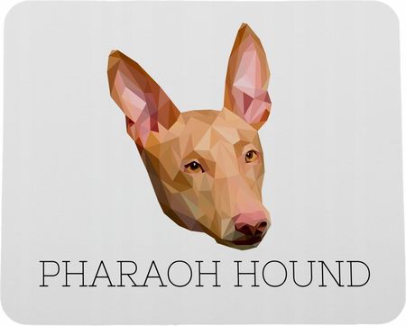 Pies faraona geometryczny (GEOPPM084)