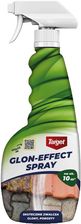 Zdjęcie Target Glon-Effect Spray Na Glony Porosty 500ml - Błaszki
