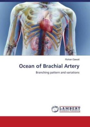Ocean of Brachial Artery