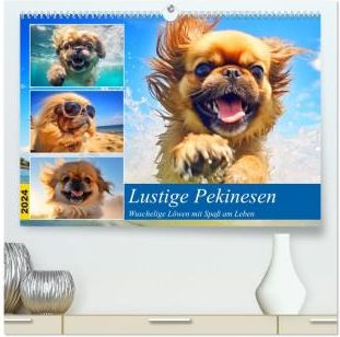 Lustige Pekinesen. Wuschelige Löwen mit Spaß am Leben (hochwertiger Premium Wandkalender 2024 DIN A2 quer), Kunstdruck in Hochglanz