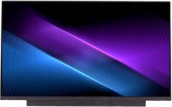 Asus 14.0