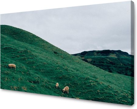 Mpink Obraz Na Płótnie Natura Pastwisko 40X30 Cm 1974