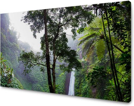 Mpink Obraz Na Płótnie Natura Las Tropikalny 50X40 Cm 2112