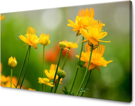Mpink Obraz Na Płótnie Botanika Żółte Kwiatki 80X40 Cm 2955