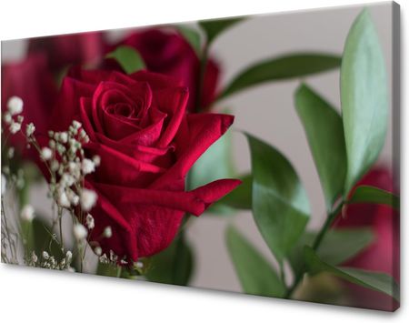 Mpink Obraz Na Płótnie Botanika Czerwone Róże 50X40 Cm 3025