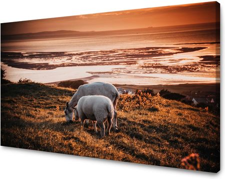 Mpink Obraz Na Płótnie Zwierzęta Pasące Się Owce 80X40 Cm 3149