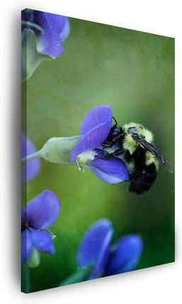 Mpink Obraz Na Płótnie Botanika Pszczoła Kwiat 40X50 Cm 4830