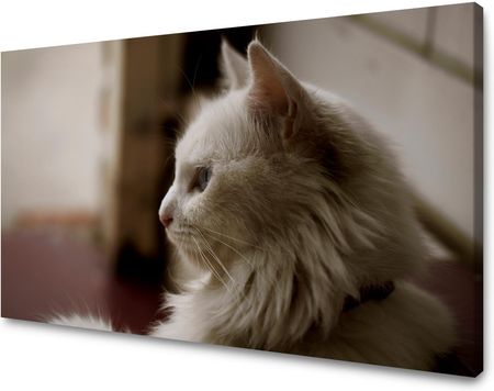 Mpink Obraz Na Płótnie Zwierzęta Biały Kot 80X50 Cm 4934