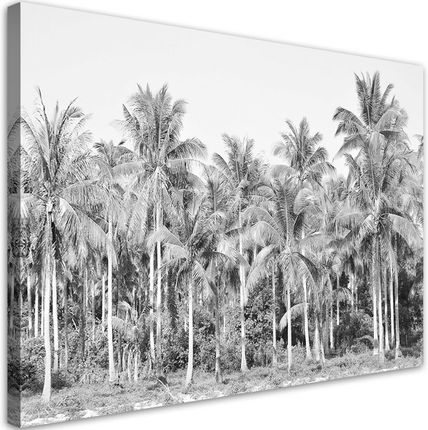 Feeby Obraz Na Płótnie Czarno Białe Palmy W Dżungli 120X80 832725