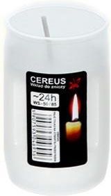 Wkład Do Zniczy Olejowy Cereus 01 24 H