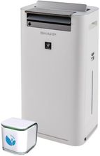 Zdjęcie Sharp KC-G50EUW + EcoLife Air Sensor 2.0 - Brzeg Dolny