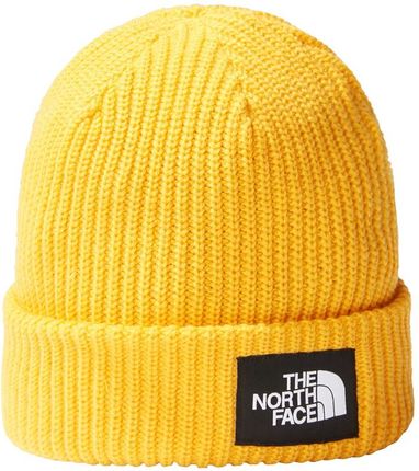 Czapka Zimowa The North Face Salty Lined Beanie