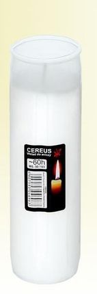 Wkład Do Zniczy Olejowy Cereus 03 60 H
