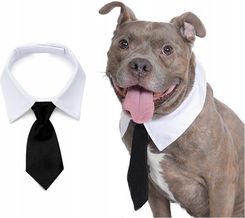 Zdjęcie Mawe Krawat Dla Psa Kota Regulowany Czarny S MDZNAKRAPSC - Strumień