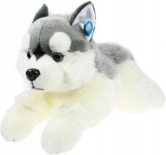 Zdjęcie Dubi Maskotka Piesek Husky Leżący 61Cm - Chęciny