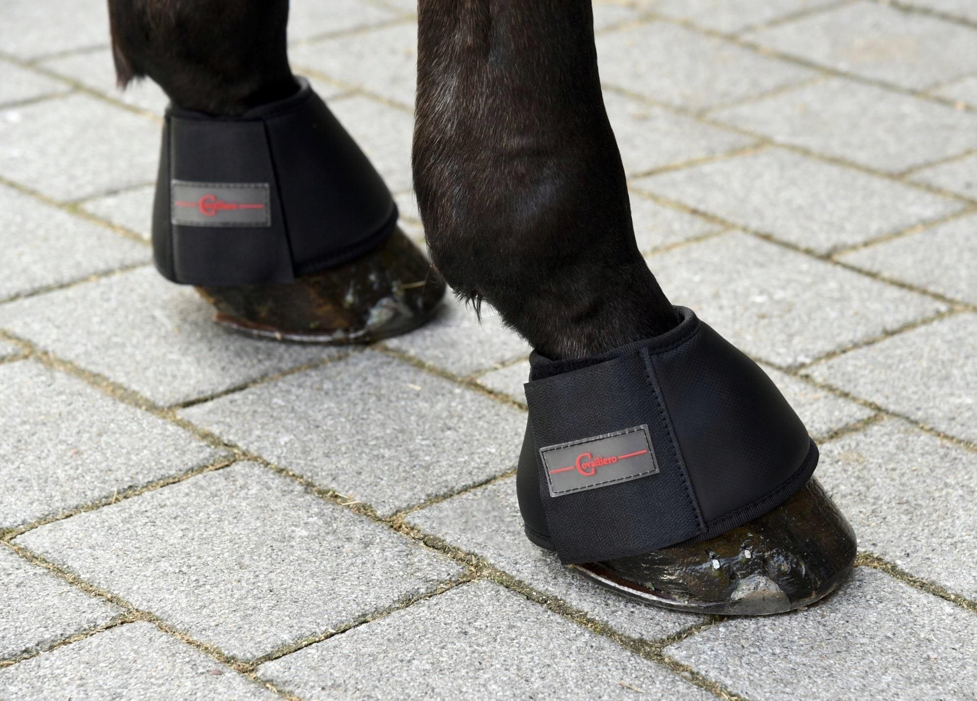 Do Czego Służą Kaloszki Dla Konia Kaloszki Dla Konia Protecto, Czarny, Roz. Pony - Ceny i opinie - Ceneo.pl