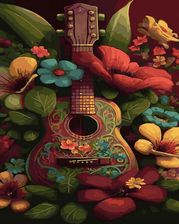 Zdjęcie Twoje Hobby Malowanie Po Numerach Zestaw Na Ramie Gitara 1609705359 - Dobczyce