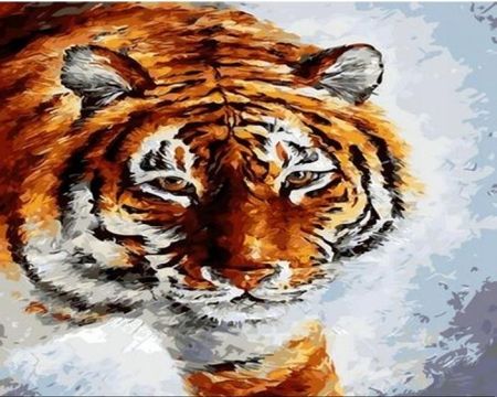 Norimpex Malowanie Po Numerach Tygrys 1611953103