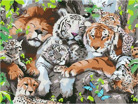 Kreoleo Obraz Malowanie Po Numerach 40X50cm Z Ramą Na Krośnie Tygrysie 1617990111