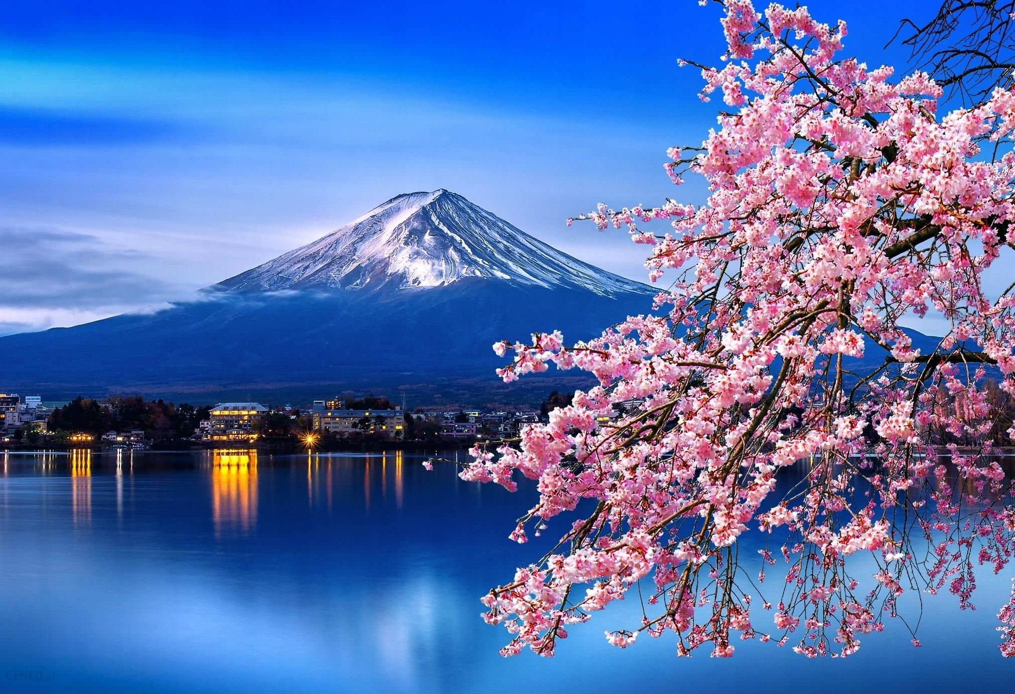Obraz Japonia Widok Na Górę Fuji Malowanie Po Numerach Rama 50x40 1635846975 Ceny I Opinie 9385