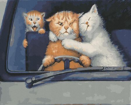 Oh Art! Malowanie Po Numerach Kot Obrazy Do Malowania Z Ramą Art Ang345 1636455826